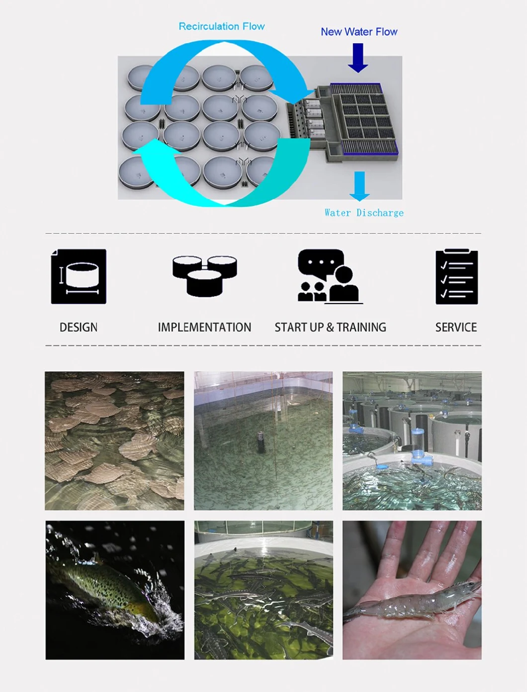 Kingto Automatic Drum Filter for Aquaculture Water & Landscape Pond Water Filtration