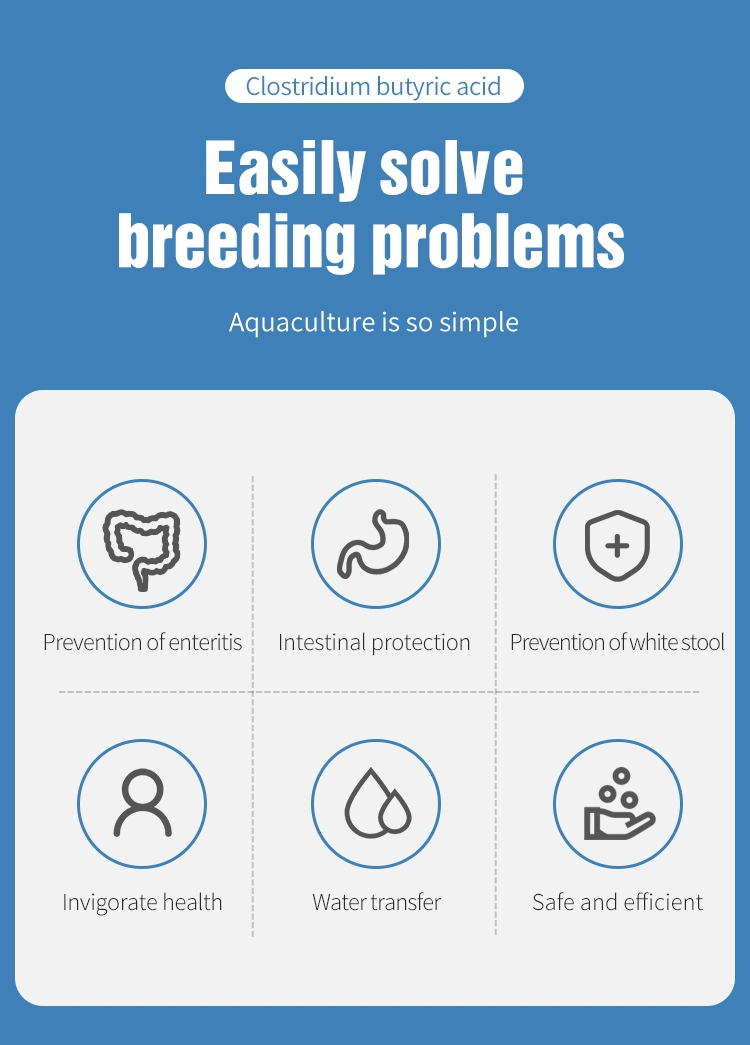 Clostridium Butyricum Feed Additive for Aquaculture Bacillus Probiotics