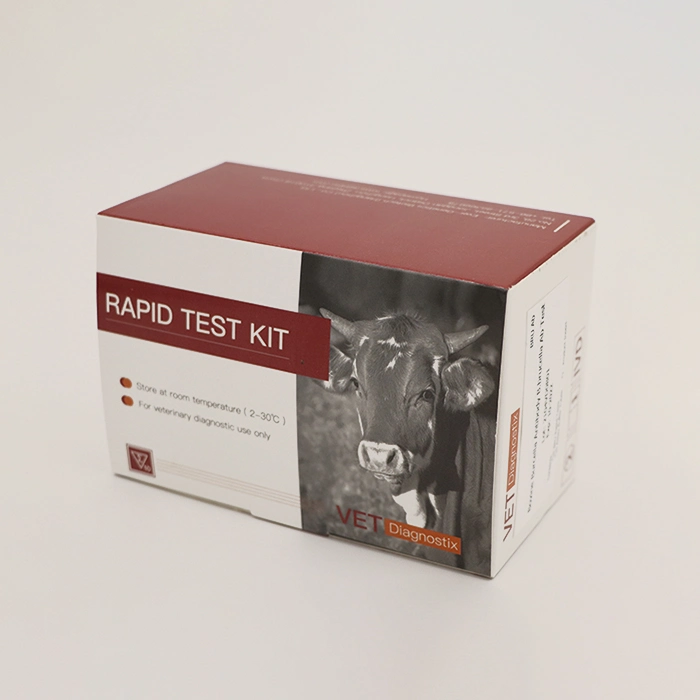 Swine Fever Test Kit African Pig Fever Antibody Rapid Diagnostic Test