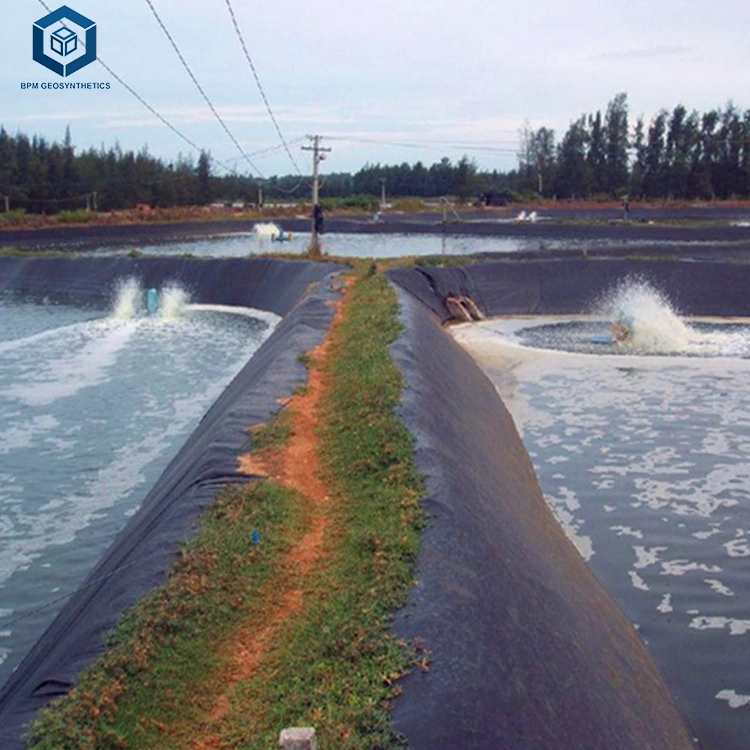 0.2mm/0.5mm/1.0mm/2.0mm Black Plastic Sheet Liner CE/ASTM Viring Waterproofing HDPE Geomembrane for Agriculture/Dam/Landfill/Lake/Biogas/Aquaculture Project