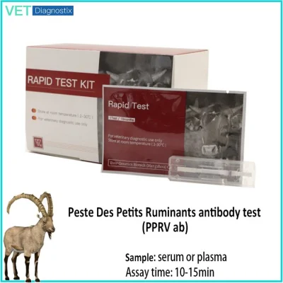 Diagnostica veterinaria – Test degli anticorpi della Peste dei piccoli ruminanti (PPRV ab)