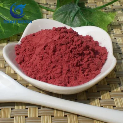 Ingrediente alimentare: polvere di estratto di riso rosso fermentato di alta qualità utilizzata come colorante alimentare