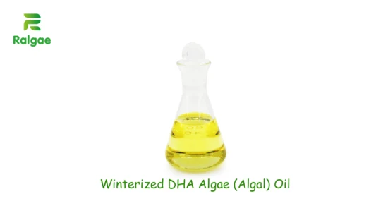 Olio Omega-3 vegano invernale Olio di alghe DHA 50% DHA senza EPA per dieta vegetariana Integratore alimentare Softgel CAS6217-54-5